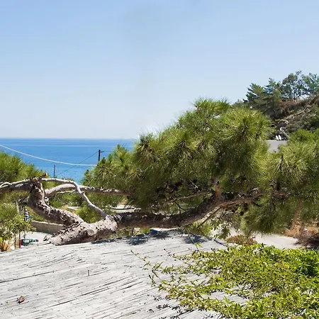 Bed & Breakfast Sofia's Kyra Panagia