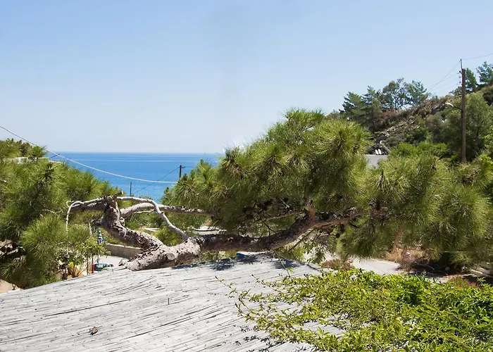 Bed & Breakfast Sofia's Kyra Panagia